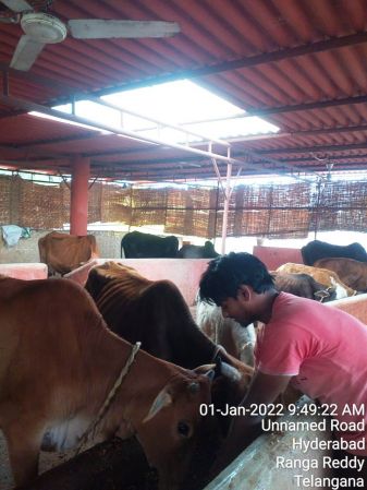 WhatsApp Image 2022-01-01 at 09.50.20.jpeg