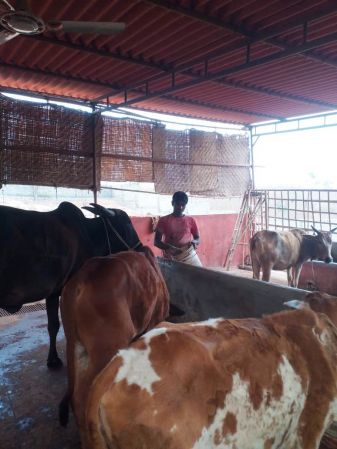 WhatsApp Image 2022-01-01 at 10.09.38 (1).jpeg