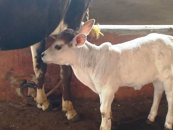 WhatsApp Image 2022-01-01 at 10.09.40.jpeg