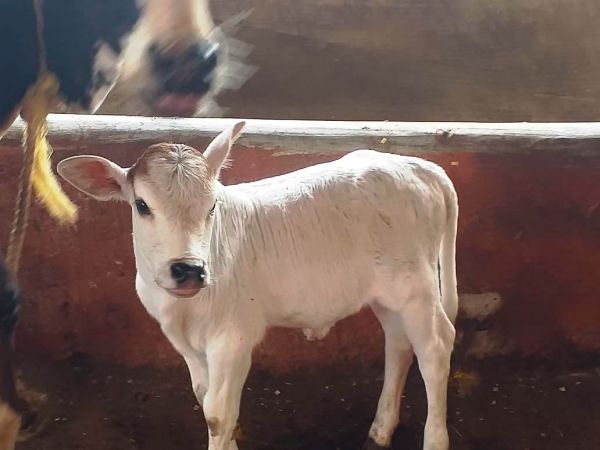 WhatsApp Image 2022-01-01 at 10.09.41.jpeg