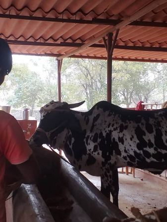 WhatsApp Image 2022-01-01 at 10.09.43.jpeg