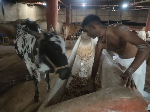 WhatsApp Image 2022-01-01 at 19.03.25.jpeg