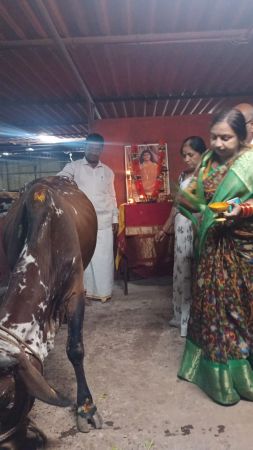 WhatsApp Image 2022-01-03 at 19.12.33.jpeg