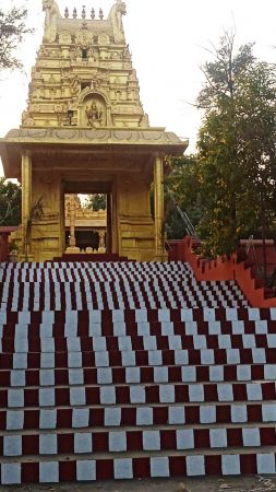 WhatsApp Image 2022-01-04 at 17.27.48.jpeg