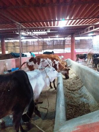 WhatsApp Image 2022-01-04 at 18.12.54.jpeg