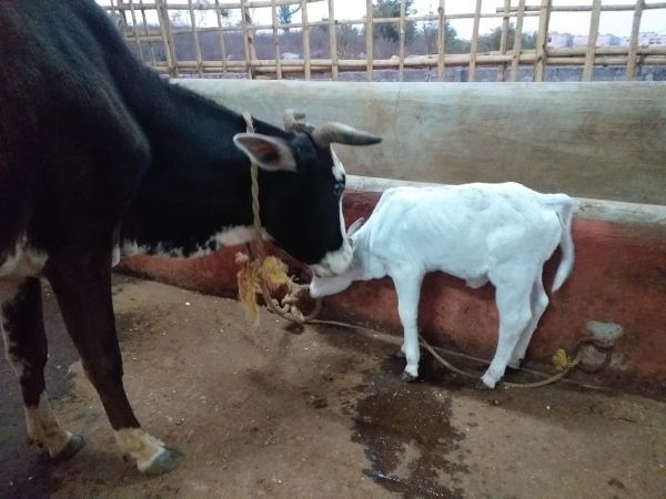 WhatsApp Image 2022-01-04 at 18.13.04.jpeg