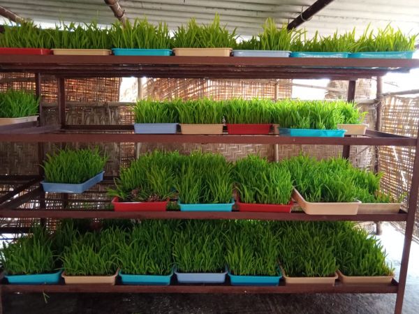 WhatsApp Image 2022-01-05 at 15.21.27.jpeg