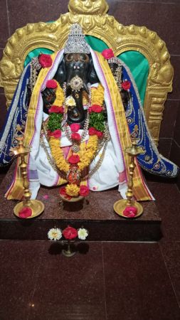 WhatsApp Image 2022-01-05 at 21.17.01.jpeg