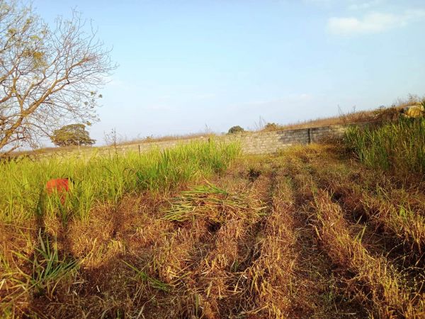 WhatsApp Image 2022-01-06 at 17.31.46.jpeg