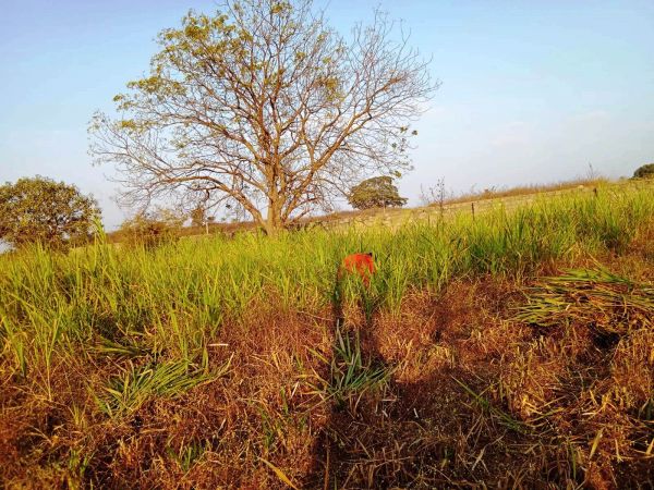 WhatsApp Image 2022-01-06 at 17.31.46 (1).jpeg