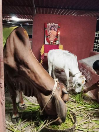 WhatsApp Image 2022-01-06 at 19.04.56.jpeg