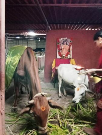 WhatsApp Image 2022-01-06 at 19.04.58.jpeg