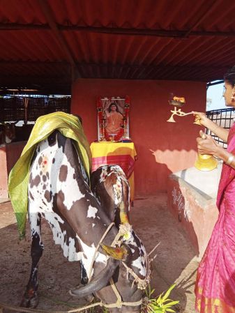 WhatsApp Image 2022-01-07 at 09.22.20.jpeg