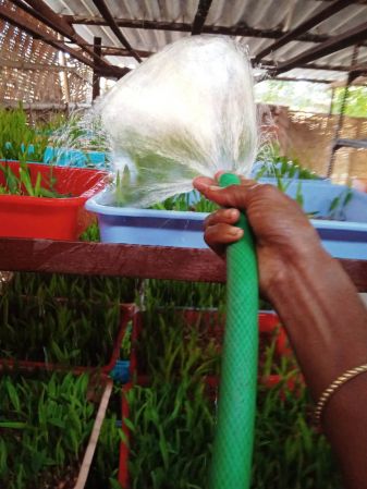 WhatsApp Image 2022-01-07 at 09.23.04.jpeg