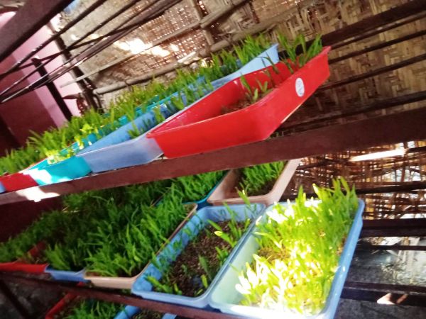 WhatsApp Image 2022-01-07 at 09.23.05.jpeg