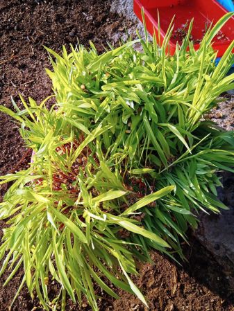 WhatsApp Image 2022-01-07 at 09.25.11.jpeg