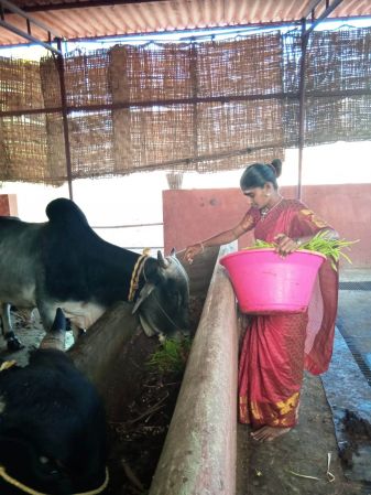 WhatsApp Image 2022-01-07 at 09.27.12.jpeg