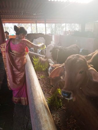 WhatsApp Image 2022-01-07 at 09.27.14.jpeg