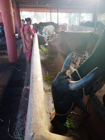 WhatsApp Image 2022-01-07 at 09.27.14 (1).jpeg