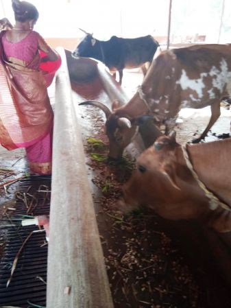 WhatsApp Image 2022-01-07 at 09.27.15.jpeg