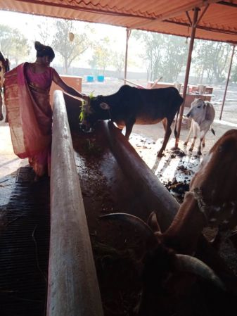 WhatsApp Image 2022-01-07 at 09.27.16.jpeg