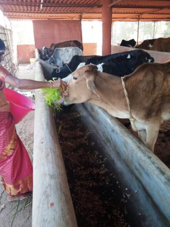 WhatsApp Image 2022-01-07 at 09.27.17 (1).jpeg