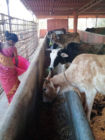 WhatsApp Image 2022-01-07 at 09.27.18 (1).jpeg