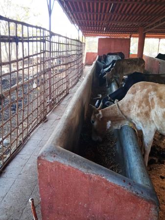 WhatsApp Image 2022-01-07 at 09.27.19.jpeg