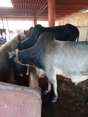 WhatsApp Image 2022-01-07 at 09.27.20.jpeg