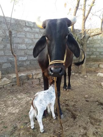 WhatsApp Image 2022-01-09 at 16.40.51 (1).jpeg