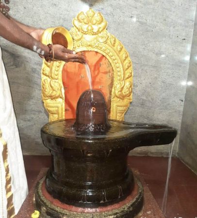 WhatsApp Image 2022-01-10 at 07.50.23.jpeg