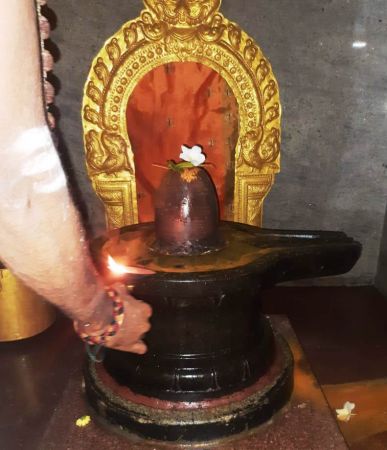 WhatsApp Image 2022-01-10 at 07.50.32.jpeg