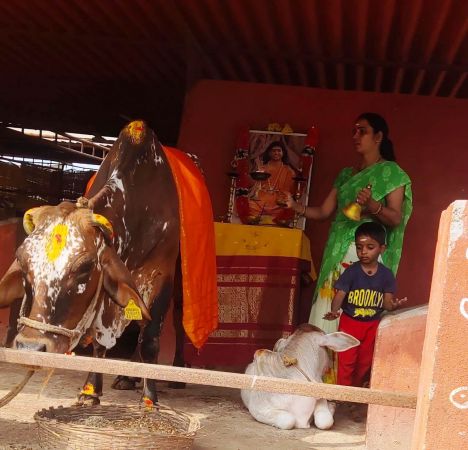 WhatsApp Image 2022-01-10 at 10.13.32.jpeg