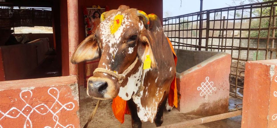 WhatsApp Image 2022-01-10 at 10.17.07.jpeg