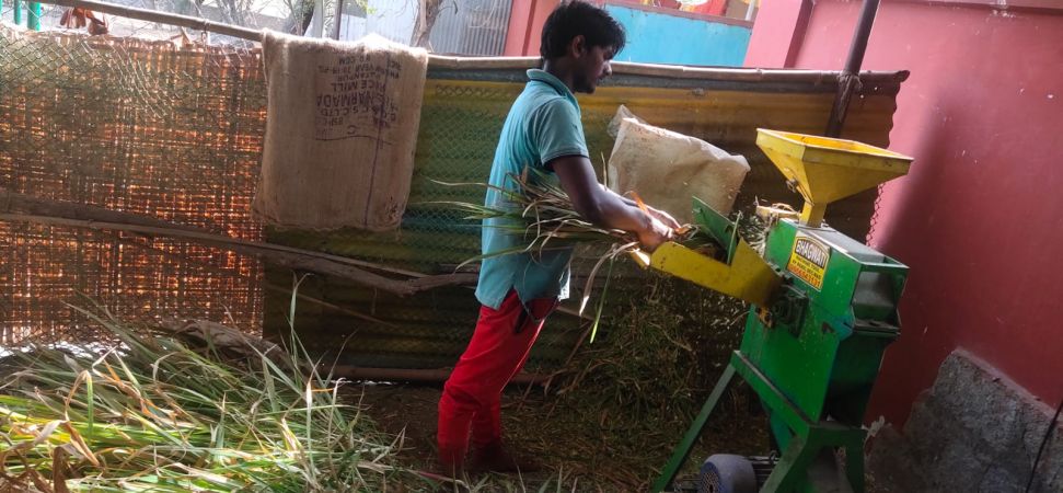 WhatsApp Image 2022-01-10 at 10.17.47.jpeg