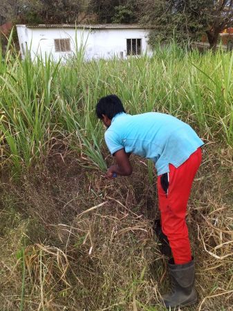 WhatsApp Image 2022-01-10 at 11.16.33.jpeg