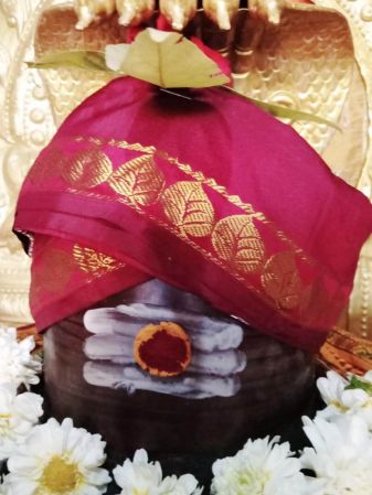 WhatsApp Image 2022-01-10 at 16.03.33.jpeg