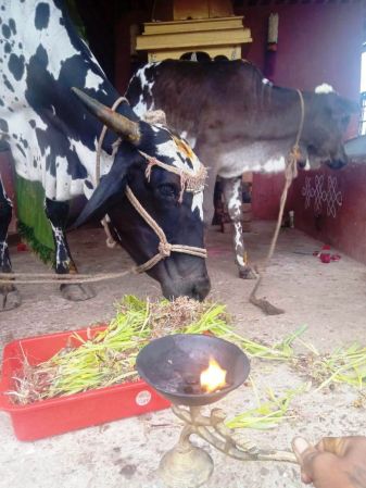 WhatsApp Image 2022-01-16 at 10.39.10.jpeg