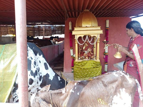 WhatsApp Image 2022-01-18 at 10.21.56.jpeg