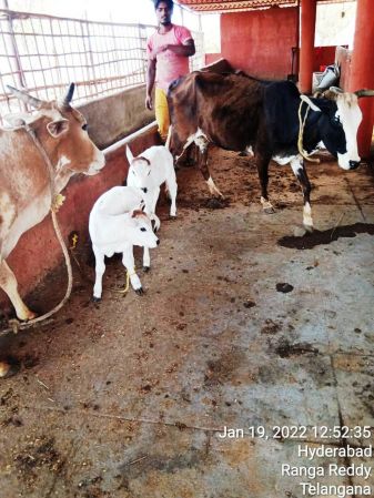 WhatsApp Image 2022-01-19 at 13.23.42.jpeg