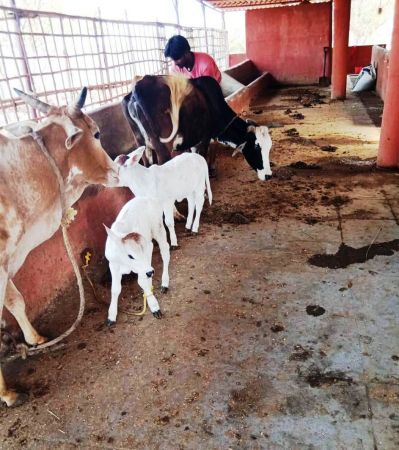 WhatsApp Image 2022-01-19 at 13.23.42 (1).jpeg