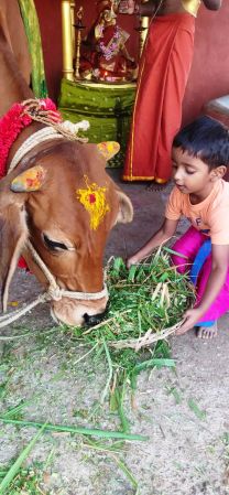 WhatsApp Image 2022-01-19 at 17.45.27.jpeg