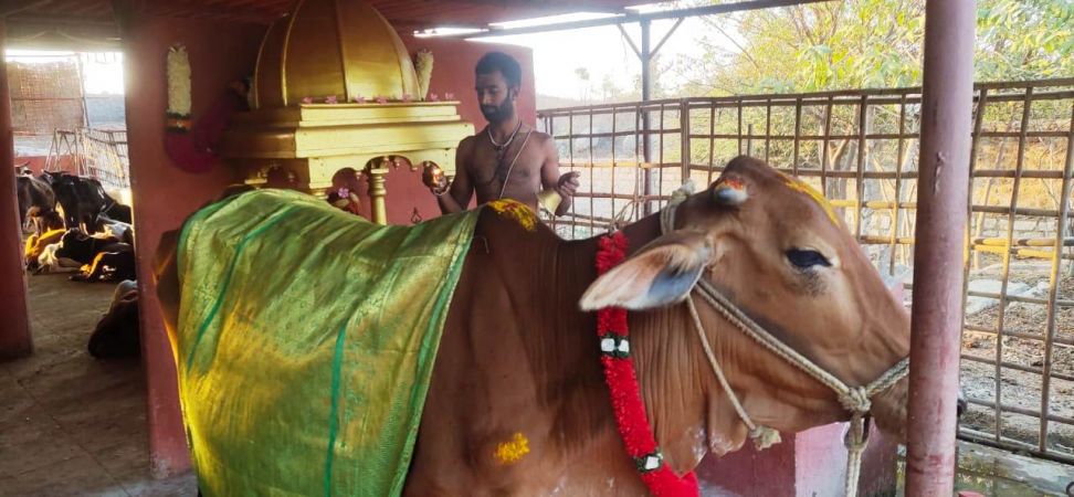 WhatsApp Image 2022-01-19 at 17.45.28.jpeg