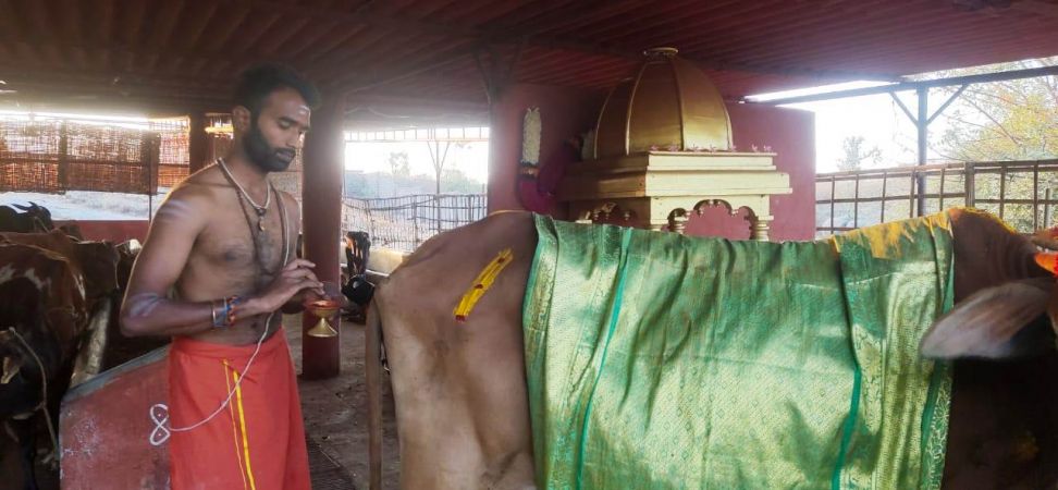 WhatsApp Image 2022-01-19 at 17.45.28 (1).jpeg