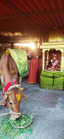 WhatsApp Image 2022-01-19 at 17.45.30 (1).jpeg