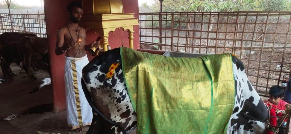 WhatsApp Image 2022-01-20 at 18.09.54 (2).jpeg