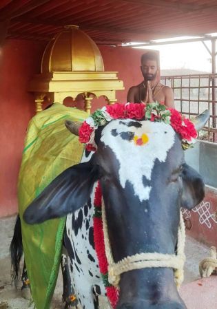 WhatsApp Image 2022-01-20 at 18.09.55.jpeg