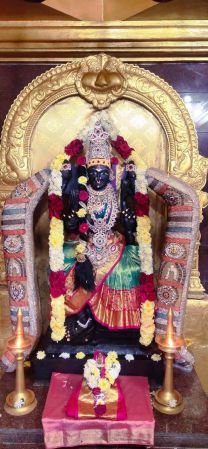 WhatsApp Image 2022-01-21 at 19.29.36.jpeg