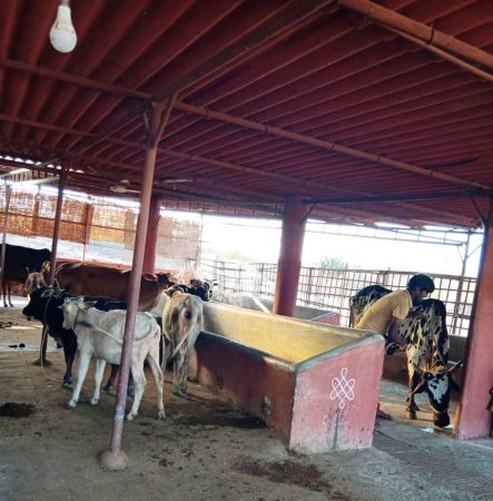 WhatsApp Image 2022-01-22 at 16.33.05.jpeg