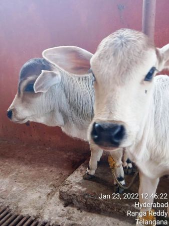 WhatsApp Image 2022-01-23 at 13.07.54 (1).jpeg